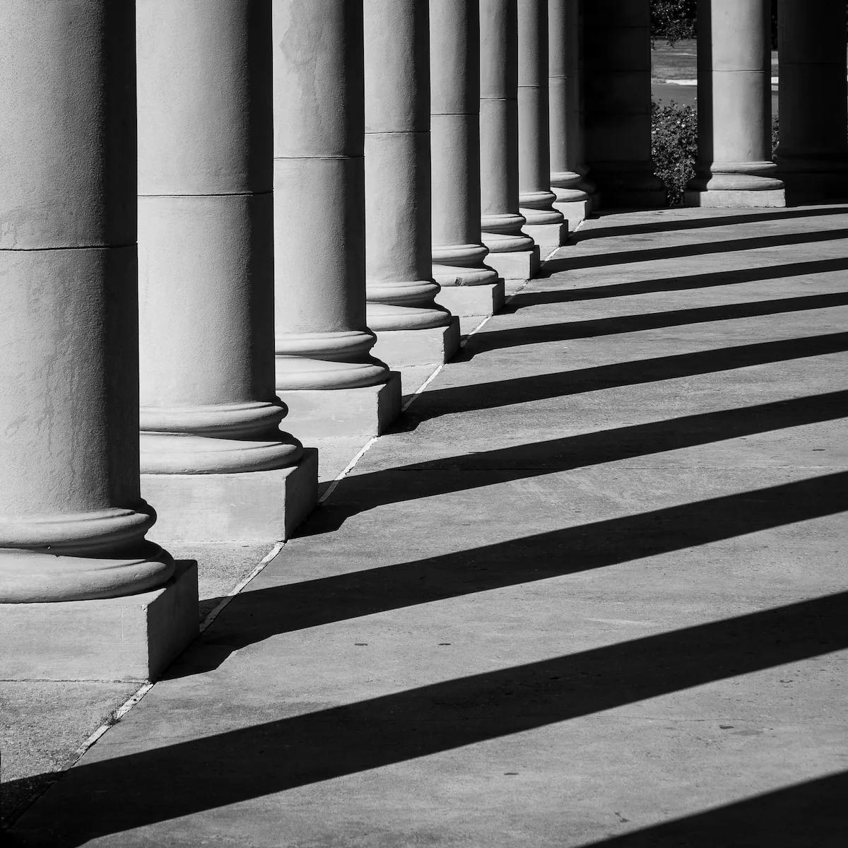 A row of smooth stone columns curving away along a walkway, lit hard from the side so each one throws a long shadow across the paving in an even rhythm. Sunlit grass and a shrub show through the gap at the far end. Black and white.
